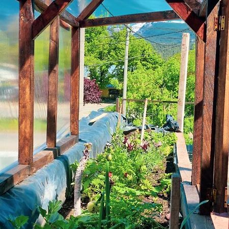 Posada Del Buscador El Bolsón Kültér fotó